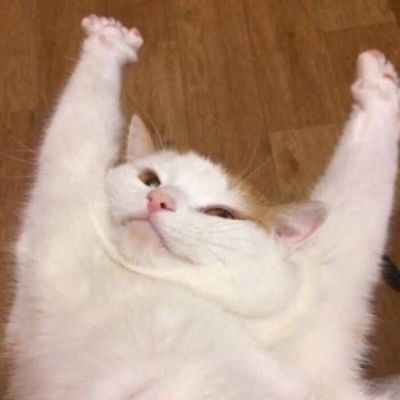 装饰装修其他其他其他