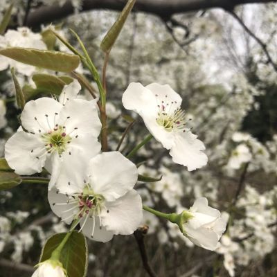 毛胚房装修毛胚房装修