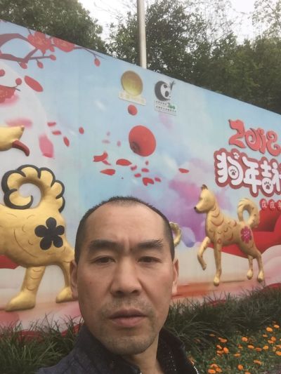 新做与翻新作品