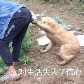 维修
