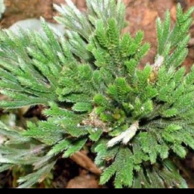 卫浴安装卫浴安装晾衣架安装铝扣板吊顶