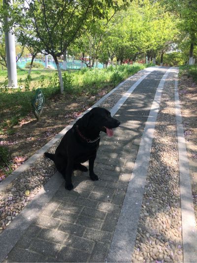 安装维修厨卫