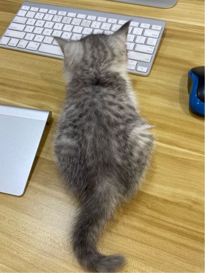 智能家居