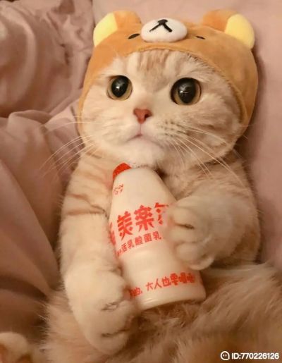 用户