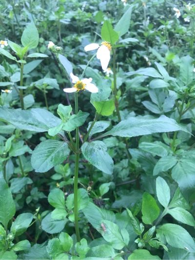 家具维修，橱柜衣柜，定制。