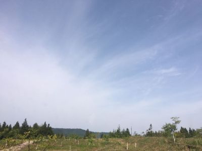 专业水电装修