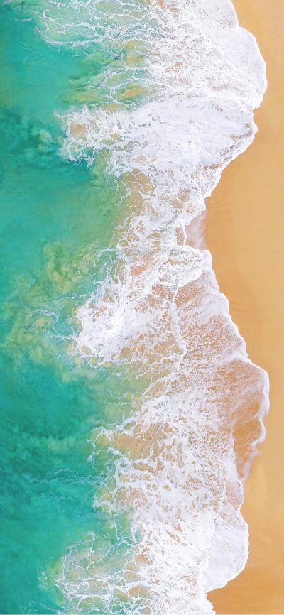 油工