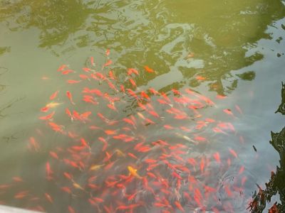 空调安装维修空调安装维修