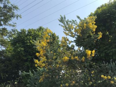 家具维修安装安装维修