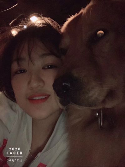 工程土方建设刮白砌砖抹灰