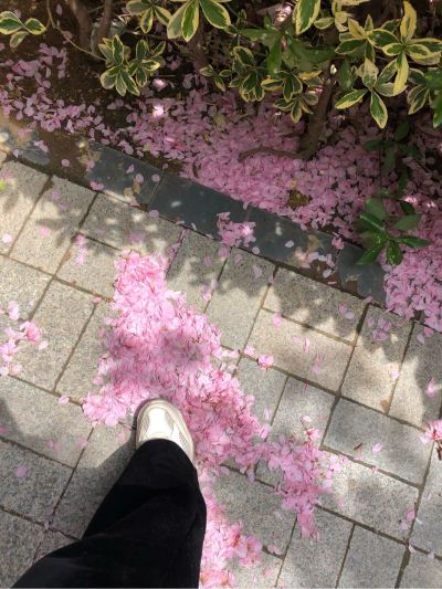 木工装修