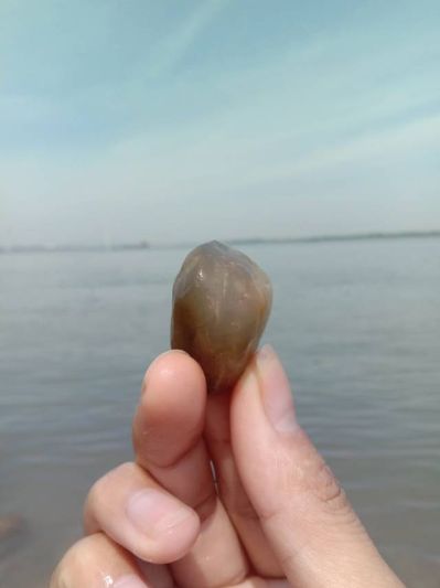 百得胜