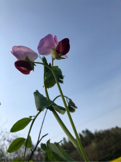 水电安装维修水电安装