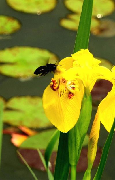 维修维修快送搬家