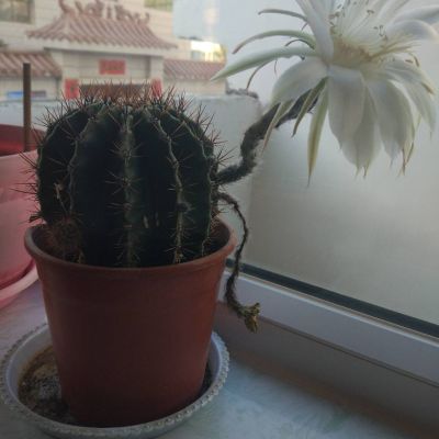 装修行业家具安装室内电工