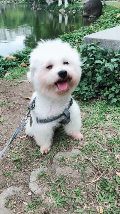 水电