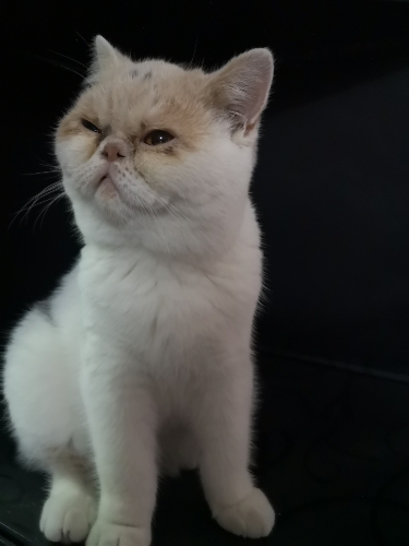 装修