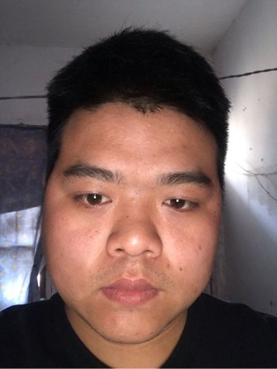 组装