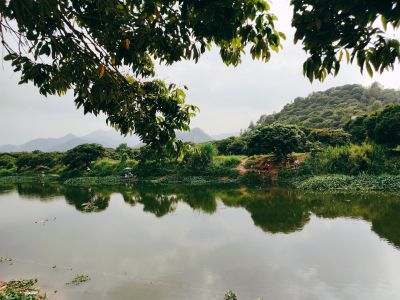 美缝天花吊顶隔墙打玻璃胶