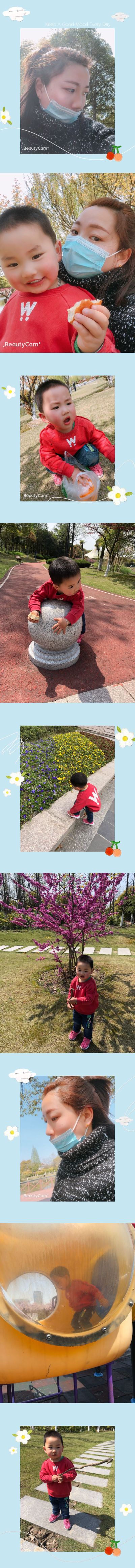 电脑监控网络