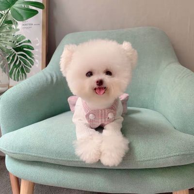 都可以