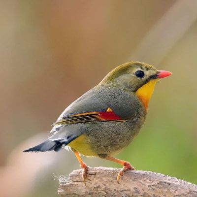 木工水电安装水电安装板式家具安装木工作业