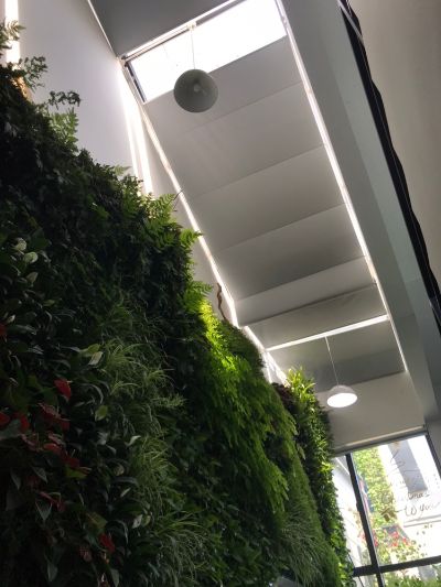 手动电动安装