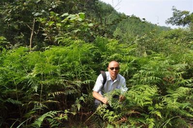 给水安装给水维修检测供水漏点厨卫安装