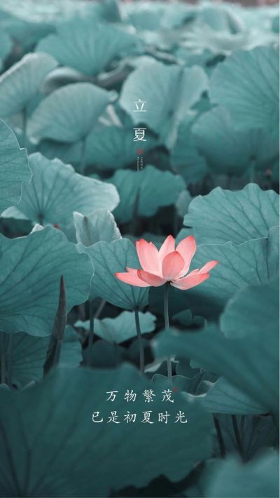 电脑硬件