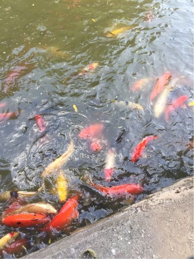 接单