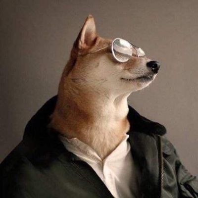 网络推广