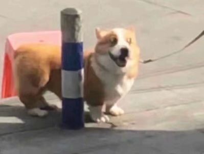 广告行业