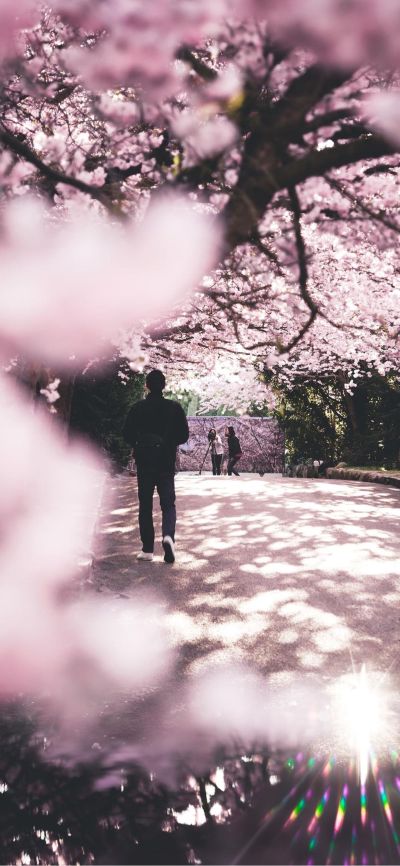 水电