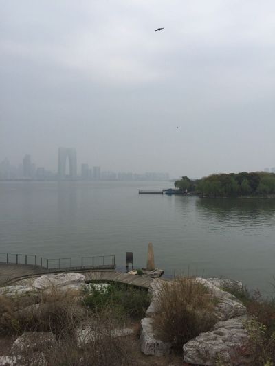 地板安装地板安装地板安装地板安装