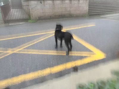 无