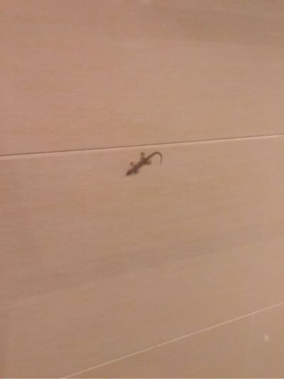 家具维修