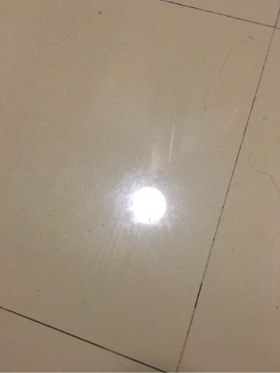 专业电