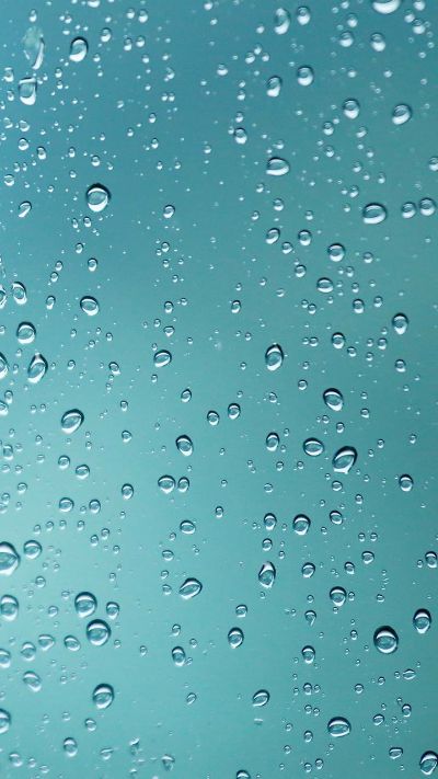 墙纸，墙布，墙画，带安装