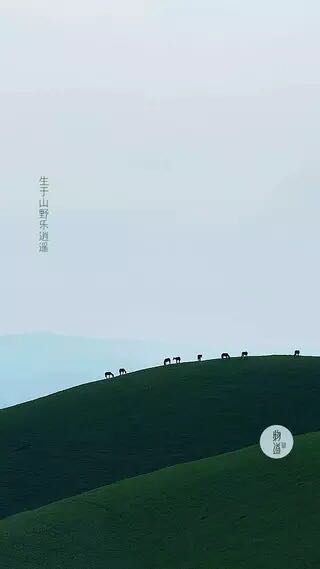 卫浴