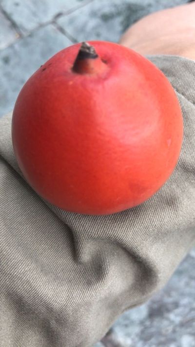 衣柜门窗水电