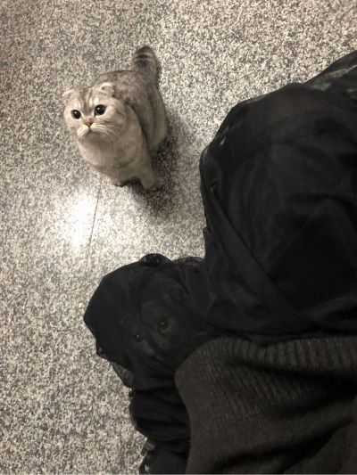 无