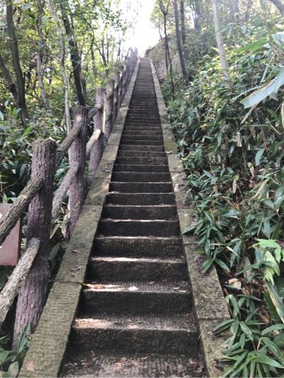 家电厨卫水电