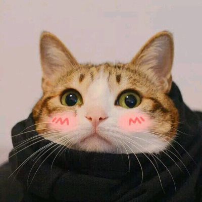 装修南方木工
