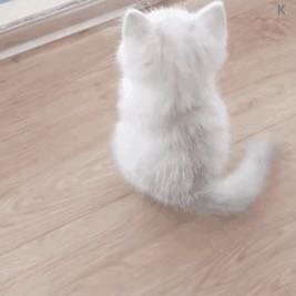 电子维修代驾