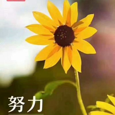 快乐购物
