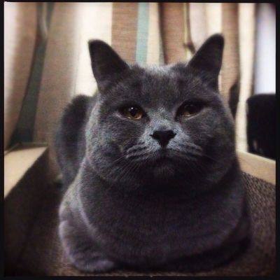材料