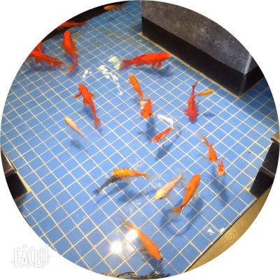 安装各种衣柜