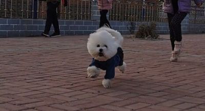 无