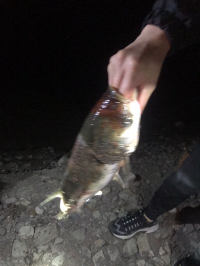 计算机维修安装