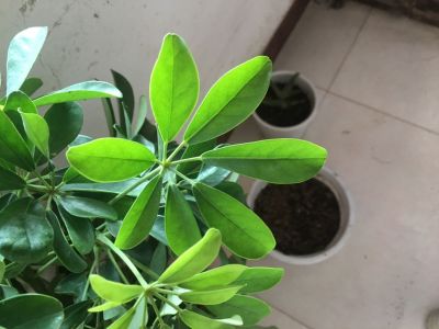 装修